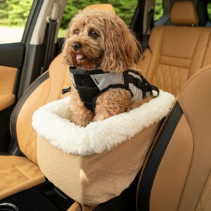 Dog and Cat Car Seats